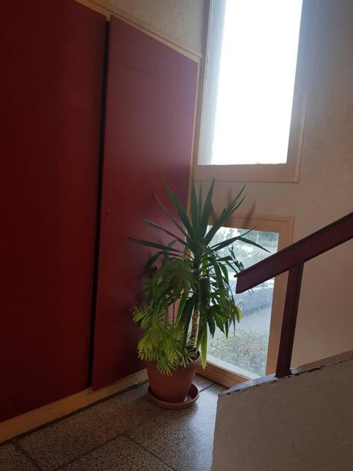 Superbe Appartement En Residence Prive Avec Un Parking Prive Scionzier Eksteriør billede